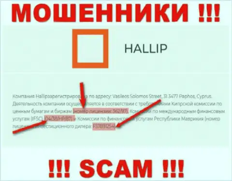 Не работайте с ворюгами Hallip - существованием лицензионного документа, на сайте, заманивают людей
