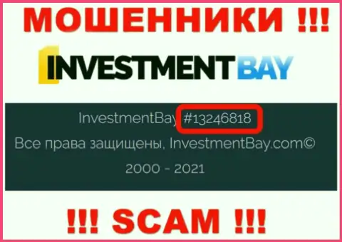 Номер регистрации, под которым официально зарегистрирована компания Investment Bay: 13246818