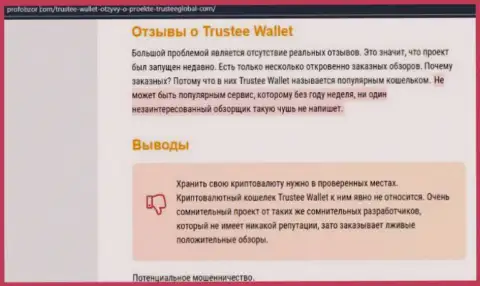 Trustee Wallet - это ЖУЛИКИ !!! Прикарманивание денег гарантируют стопроцентно (обзор компании)