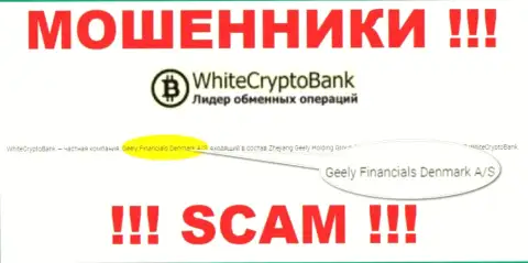 Юридическим лицом, владеющим шулерами White Crypto Bank, является Джили Финанс Денмарк А/С