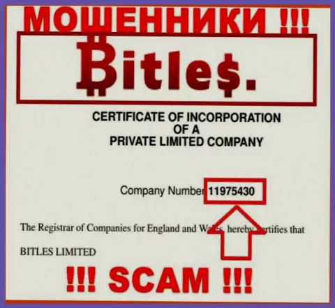 Регистрационный номер махинаторов Битлес, с которыми весьма опасно иметь дело - 11975430