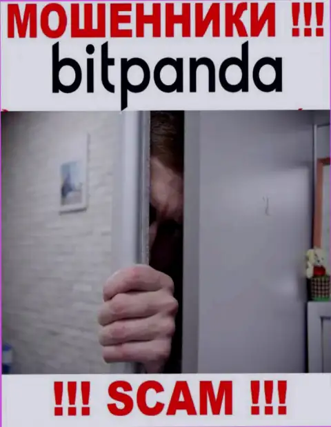 Bitpanda Com с легкостью украдут ваши денежные средства, у них нет ни лицензионного документа, ни регулятора