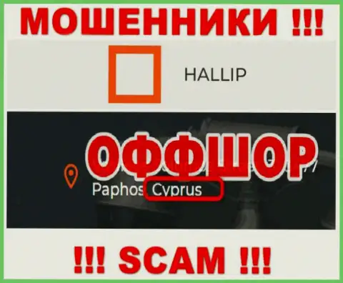 Лохотрон Hallip Com зарегистрирован на территории - Cyprus
