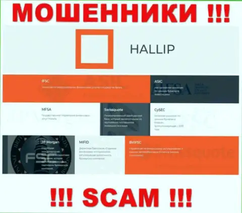 У организации Hallip Com есть лицензия от мошеннического регулятора - MFSA