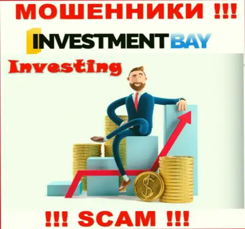 Не верьте, что область деятельности Инвестмент Бей - Investing законна - это разводняк
