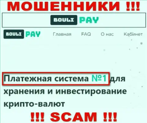 Основная деятельность Bouli-Pay Com - это Платежная система, будьте крайне бдительны, работают преступно