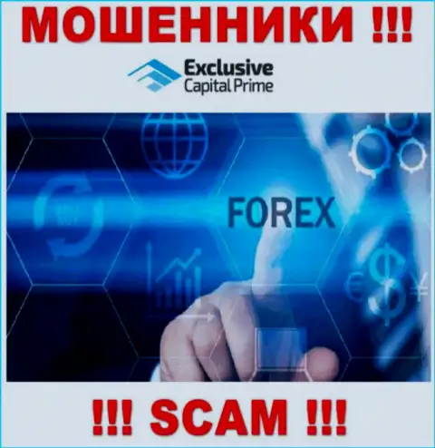 Forex - направление деятельности противоправно действующей организации Exclusive Capital