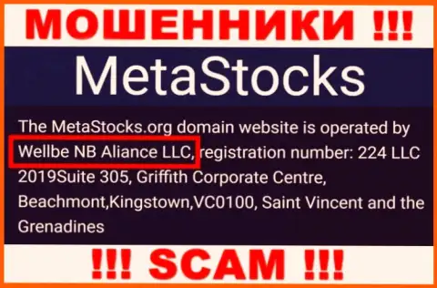 Юридическое лицо компании Meta Stocks это Веллбе НБ Алиансе ЛЛК, инфа позаимствована с официального сайта