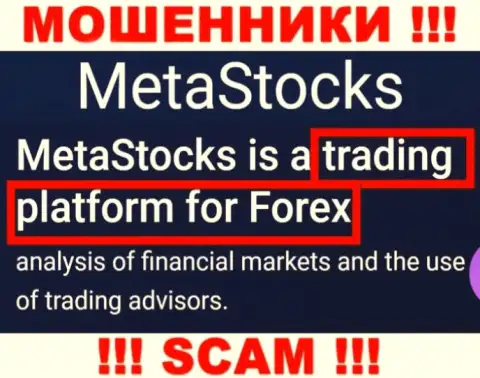 Деятельность internet мошенников Meta Stocks: Торговая платформа - замануха для наивных клиентов