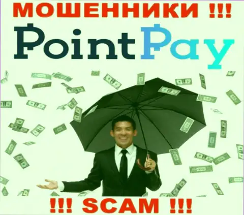 Не загремите в лапы интернет ворюг Point Pay LLC, финансовые активы не вернете назад