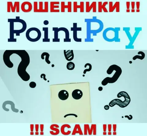 В интернет сети нет ни единого упоминания об прямых руководителях мошенников Point Pay LLC