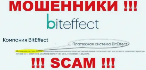 Осторожно, вид деятельности Bit Effect, Система платежей - это обман !!!