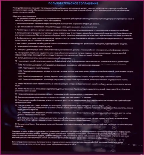 Пользовательское соглашение биржи Зинеера Ком, представленное на официальном сайте дилинговой организации