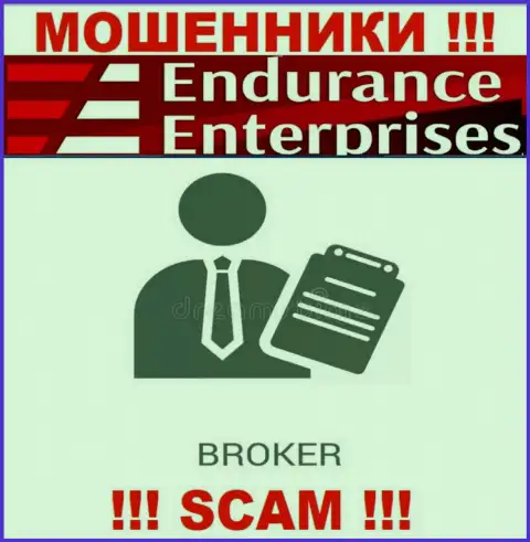 Endurance Enterprises не внушает доверия, Брокер - это конкретно то, чем промышляют указанные интернет мошенники