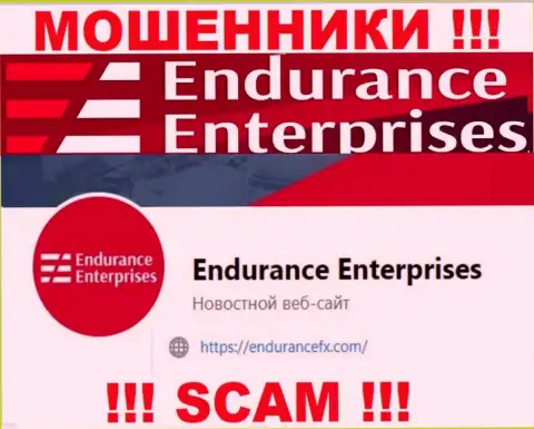 Связаться с интернет мошенниками из компании EnduranceFX вы можете, если отправите сообщение на их адрес электронного ящика
