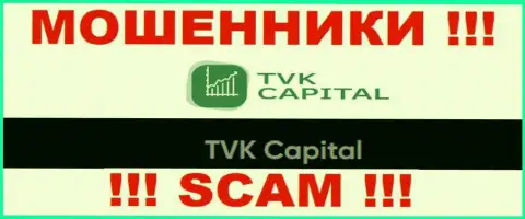 TVK Capital - это юридическое лицо разводил ТВККапитал Ком