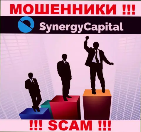 Synergy Capital предпочли анонимность, данных о их руководителях Вы не найдете