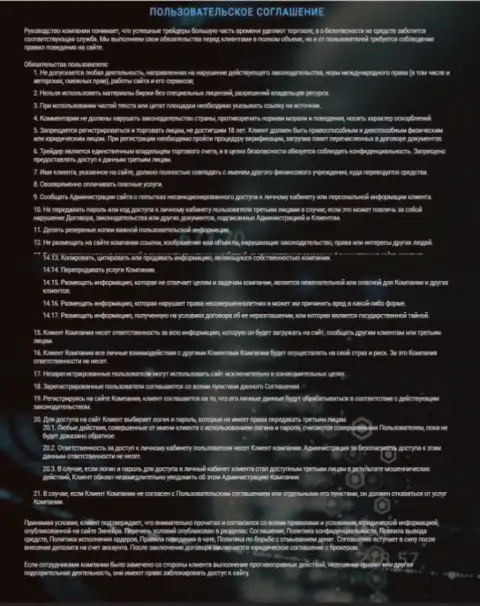 Пользовательское соглашение Зинейра Ком, представленное на информационном портале дилингового центра