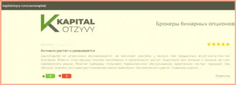 О организации КаувоКапитал Ком ряд отзывов на веб-портале kapitalotzyvy com