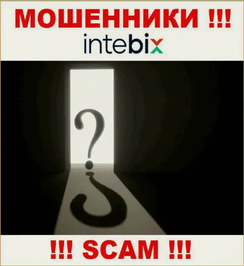 Остерегайтесь работы с интернет шулерами Intebix - нет сведений об адресе регистрации