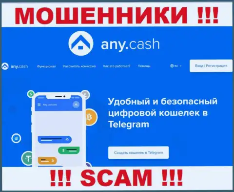 Работать совместно с AnyCash весьма рискованно, поскольку их направление деятельности Виртуальный кошелек - это обман