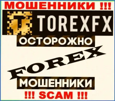 Область деятельности Торекс ФХ: FOREX - хороший заработок для интернет-мошенников